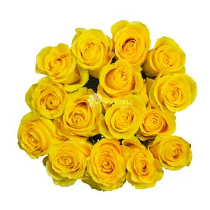 Brighton Rose – Intense Golden Yellow Ecuadorian Rose by Toscana Farms