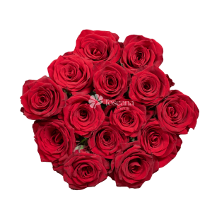 Checkmate Rose – Scarlet Red Ecuadorian Rose by Toscana Farms