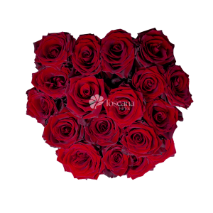 Explorer Rose – Classic Red Ecuadorian Rose by Toscana Farms