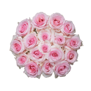 Nena Rose – Pink Ecuadorian Rose with Bubblegum Pink Center by Toscana Farms